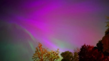 Renkli kuzey ışıkları, mor ve yeşil aurora, ağaçların üzerindeki kuzey ışıkları, Aurora borealis kutup ışıkları ayarlandı. Gökyüzünde farklı şekillerde ve renkte parlayan kuzey ışıkları, gölde yaz aurora