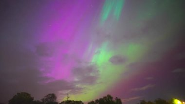 Renkli kuzey ışıkları, mor ve yeşil aurora, ağaçların üzerindeki kuzey ışıkları, Aurora borealis kutup ışıkları ayarlandı. Gökyüzünde farklı şekillerde ve renkte parlayan kuzey ışıkları, gölde yaz aurora