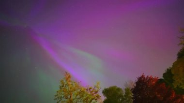 Renkli kuzey ışıkları, mor ve yeşil aurora, ağaçların üzerindeki kuzey ışıkları, Aurora borealis kutup ışıkları ayarlandı. Gökyüzünde farklı şekillerde ve renkte parlayan kuzey ışıkları, gölde yaz aurora