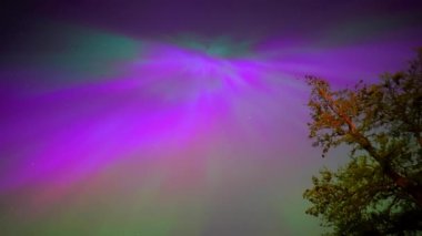 Renkli kuzey ışıkları, mor ve yeşil aurora, ağaçların üzerindeki kuzey ışıkları, Aurora borealis kutup ışıkları ayarlandı. Gökyüzünde farklı şekillerde ve renkte parlayan kuzey ışıkları, gölde yaz aurora