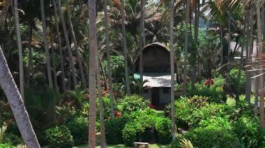 Küçük bir ev, yemyeşil bir ormanın ortasında, Endonezya 'daki Bali adasında orman odunları, Endonezya' daki Bali adasında orman odunları,