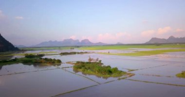 Hava aracı videosu, gün batımında Vietnam 'ın dağları ve pirinç tarlaları. Bereketli yeşil yağmur ormanları şafak vakti sisli dağlarla kaplı Karst Dağları Kedi Ba Adası, Halong Körfezi, Vietnam