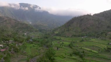 Pirinç Terasları ve Agung volkanı, Bali Adasının en bilinen manzaralarından birini görüyorlar, Agung volkanı, tepesinde efsaneye göre Bali Endonezya adasını koruyan ruhlar yaşıyor., 