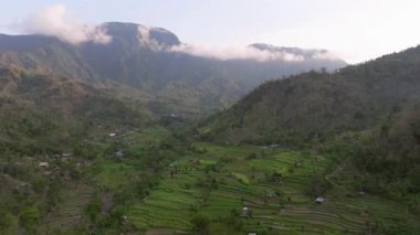 Pirinç Terasları ve Agung volkanı, Bali Adasının en bilinen manzaralarından birini görüyorlar, Agung volkanı, tepesinde efsaneye göre Bali Endonezya adasını koruyan ruhlar yaşıyor., 