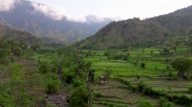 Pirinç Terasları ve Agung volkanı, Bali Adasının en bilinen manzaralarından birini görüyorlar, Agung volkanı, tepesinde efsaneye göre Bali Endonezya adasını koruyan ruhlar yaşıyor., 