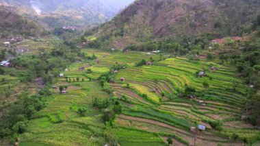 Pirinç Terasları ve Agung volkanı, Bali Adasının en bilinen manzaralarından birini görüyorlar, Agung volkanı, tepesinde efsaneye göre Bali Endonezya adasını koruyan ruhlar yaşıyor., 