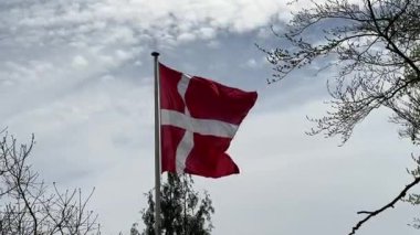 Rüzgarda dalgalanan Danimarka bayrağının yakın çekimi, Kopenhag ormanının önünde rüzgarda dalgalanan kırmızı ve beyaz Danimarka bayrağı