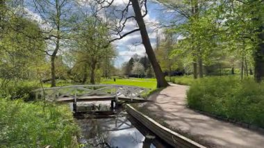 Orman Parkı, Viborg 'daki Borgvold Parkı' nda rhododendronlarla yürüyüş. Borgvold ortada, Viborg, Danimarka, 