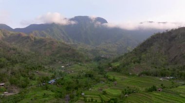 Pirinç Terasları ve Agung volkanı, Bali Adasının en bilinen manzaralarından birini görüyorlar, Agung volkanı, tepesinde efsaneye göre Bali Endonezya adasını koruyan ruhlar yaşıyor., 