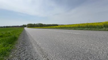 Tarlalardan geçen boş yollar, tarım arazisindeki yol ve mısır tarlalarının manzarası, güneşli yaz günlerinde kırsal alanda asfalt yol manzarası.