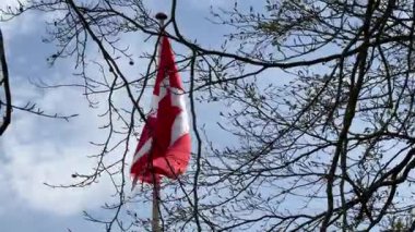 Rüzgarda dalgalanan Danimarka bayrağının yakın çekimi, Kopenhag ormanının önünde rüzgarda dalgalanan kırmızı ve beyaz Danimarka bayrağı