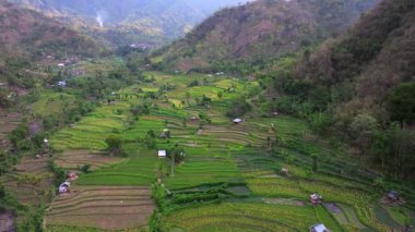 Pirinç Terasları ve Agung volkanı, Bali Adasının en bilinen manzaralarından birini görüyorlar, Agung volkanı, tepesinde efsaneye göre Bali Endonezya adasını koruyan ruhlar yaşıyor., 
