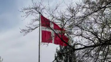Rüzgarda dalgalanan Danimarka bayrağının yakın çekimi, Kopenhag ormanının önünde rüzgarda dalgalanan kırmızı ve beyaz Danimarka bayrağı