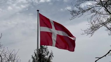 Rüzgarda dalgalanan Danimarka bayrağının yakın çekimi, Kopenhag ormanının önünde rüzgarda dalgalanan kırmızı ve beyaz Danimarka bayrağı