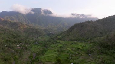 Pirinç Terasları ve Agung volkanı, Bali Adasının en bilinen manzaralarından birini görüyorlar, Agung volkanı, tepesinde efsaneye göre Bali Endonezya adasını koruyan ruhlar yaşıyor., 