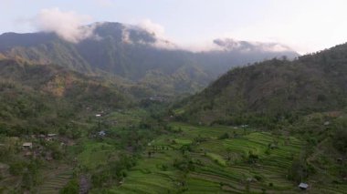 Pirinç Terasları ve Agung volkanı, Bali Adasının en bilinen manzaralarından birini görüyorlar, Agung volkanı, tepesinde efsaneye göre Bali Endonezya adasını koruyan ruhlar yaşıyor., 