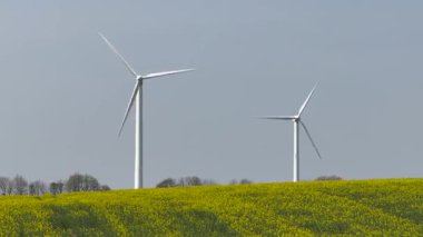 Güneşin doğuşunda tarlalar ve rüzgar türbinleri, güneşli gökyüzünün altında rüzgar türbinleri ve buğday tarlaları. 