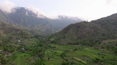 Pirinç Terasları ve Agung volkanı, Bali Adasının en bilinen manzaralarından birini görüyorlar, Agung volkanı, tepesinde efsaneye göre Bali Endonezya adasını koruyan ruhlar yaşıyor., 