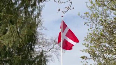 Rüzgarda dalgalanan Danimarka bayrağının yakın çekimi, Kopenhag ormanının önünde rüzgarda dalgalanan kırmızı ve beyaz Danimarka bayrağı