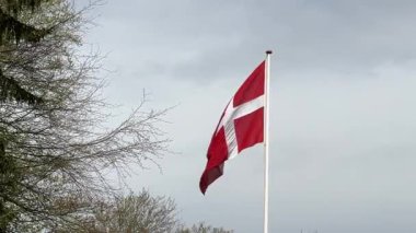 Rüzgarda dalgalanan Danimarka bayrağının yakın çekimi, Kopenhag ormanının önünde rüzgarda dalgalanan kırmızı ve beyaz Danimarka bayrağı