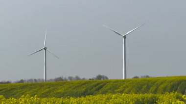 Güneşin doğuşunda tarlalar ve rüzgar türbinleri, güneşli gökyüzünün altında rüzgar türbinleri ve buğday tarlaları. 