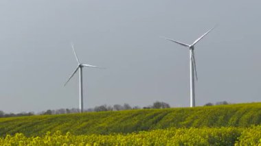 Güneşin doğuşunda tarlalar ve rüzgar türbinleri, güneşli gökyüzünün altında rüzgar türbinleri ve buğday tarlaları. 