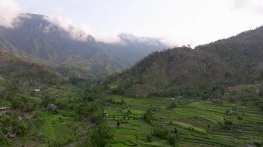 Pirinç Terasları ve Agung volkanı, Bali Adasının en bilinen manzaralarından birini görüyorlar, Agung volkanı, tepesinde efsaneye göre Bali Endonezya adasını koruyan ruhlar yaşıyor., 