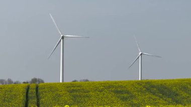 Güneşin doğuşunda tarlalar ve rüzgar türbinleri, güneşli gökyüzünün altında rüzgar türbinleri ve buğday tarlaları. 