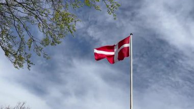 Rüzgarda dalgalanan Danimarka bayrağının yakın çekimi, Kopenhag ormanının önünde rüzgarda dalgalanan kırmızı ve beyaz Danimarka bayrağı