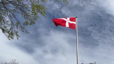 Rüzgarda dalgalanan Danimarka bayrağının yakın çekimi, Kopenhag ormanının önünde rüzgarda dalgalanan kırmızı ve beyaz Danimarka bayrağı