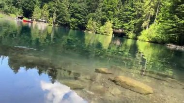 İsviçre 'deki kristal berraklığında Blausee Gölü, suyun o kadar şeffaf ki aşağıda yüzen balıkları görebilirsiniz. Saf dağlık doğa, huzurlu atmosfer ve çarpıcı doğal güzellik. Kandergrund 