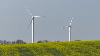 Güneşin doğuşunda tarlalar ve rüzgar türbinleri, güneşli gökyüzünün altında rüzgar türbinleri ve buğday tarlaları. 