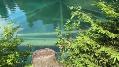 İsviçre 'deki kristal berraklığında Blausee Gölü, suyun o kadar şeffaf ki aşağıda yüzen balıkları görebilirsiniz. Saf dağlık doğa, huzurlu atmosfer ve çarpıcı doğal güzellik. Kandergrund 