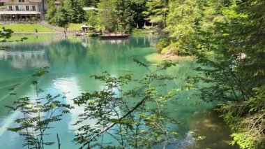 İsviçre 'deki kristal berraklığında Blausee Gölü, suyun o kadar şeffaf ki aşağıda yüzen balıkları görebilirsiniz. Saf dağlık doğa, huzurlu atmosfer ve çarpıcı doğal güzellik. Kandergrund 