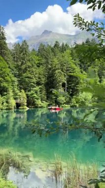İsviçre 'deki kristal berraklığında Blausee Gölü, suyun o kadar şeffaf ki aşağıda yüzen balıkları görebilirsiniz. Saf dağlık doğa, huzurlu atmosfer ve çarpıcı doğal güzellik. Kandergrund 