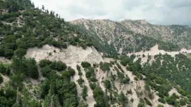 Bir Rancho Cucamonga Kaliforniya Dağları Çölde yollar ve ağaçlarla