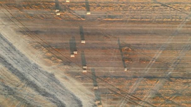 Drone View Sunrise Farm Hay Field River Alberta Canada High — Stock Video