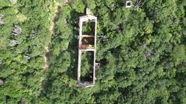 Landuis Newtown Jeremi Curacao. Former Manganese mine storage buildings turned into abandoned overgrown lush greenery. High quality photo