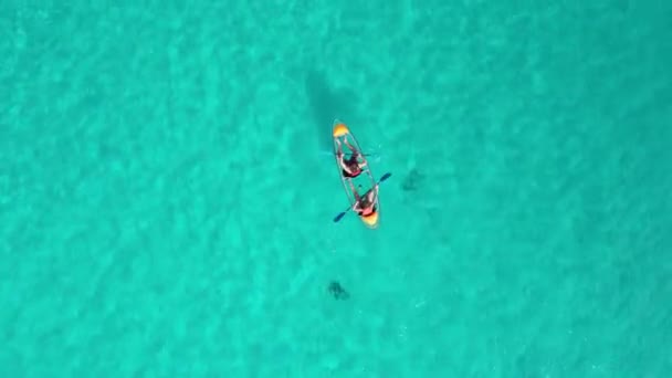 Bajar Dron Aéreo Shoto Una Vista Clara Través Kayak Con — Vídeo de stock