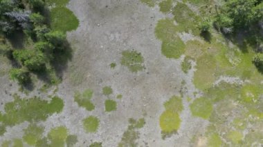 Banff bölgesindeki hava aracı görüntüleri. Banff Ulusal Parkı yakınlarında dağlar ve geniş orman manzarasına bakıyor. Yüksek kalite 4k görüntü