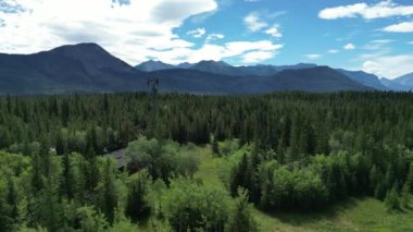 Banff bölgesindeki hava aracı görüntüleri. Banff Ulusal Parkı yakınlarında dağlar ve geniş orman manzarasına bakıyor. Yüksek kalite 4k görüntü