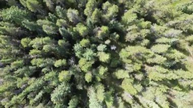 Banff bölgesindeki hava aracı görüntüleri. Banff Ulusal Parkı yakınlarında dağlar ve geniş orman manzarasına bakıyor. Yüksek kalite 4k görüntü