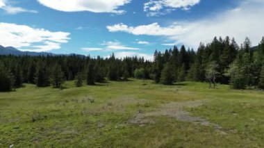 Banff bölgesindeki hava aracı görüntüleri. Banff Ulusal Parkı yakınlarında dağlar ve geniş orman manzarasına bakıyor. Yüksek kalite 4k görüntü