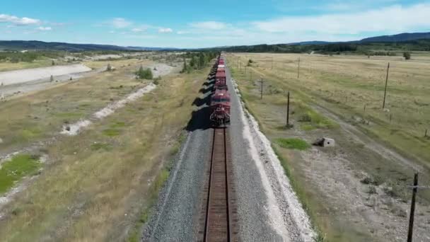 加拿大卡尔加里 2022年7月20日 在一列货运列车经过班夫国家公园附近的山区林区后 空中无人机摄像 高质量的4K镜头 — 图库视频影像