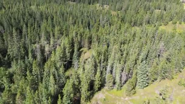 Banff Bölgesindeki Hava Aracı Görüntüleri Banff Ulusal Parkı Yakınlarında Dağlar — Stok video