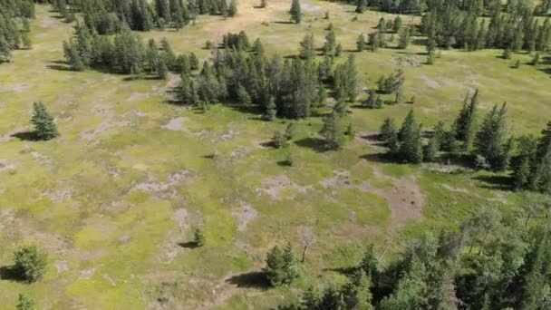 Letecké Záběry Letounu Nad Oblastí Banff Poblíž Národního Parku Banff — Stock video