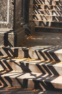 Sonbahar yapraklarıyla sokağa çıkan merdivenler.