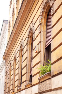 Çiçek saksısı olan antik bir binanın penceresi.