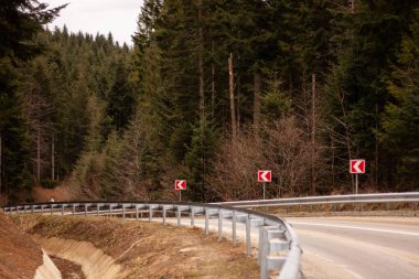 Ormanda tamponlu bir yol