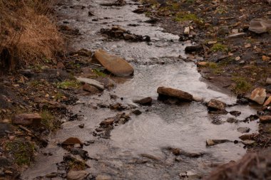 Taşlı bir dağ nehri.